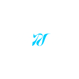 VSNRY
